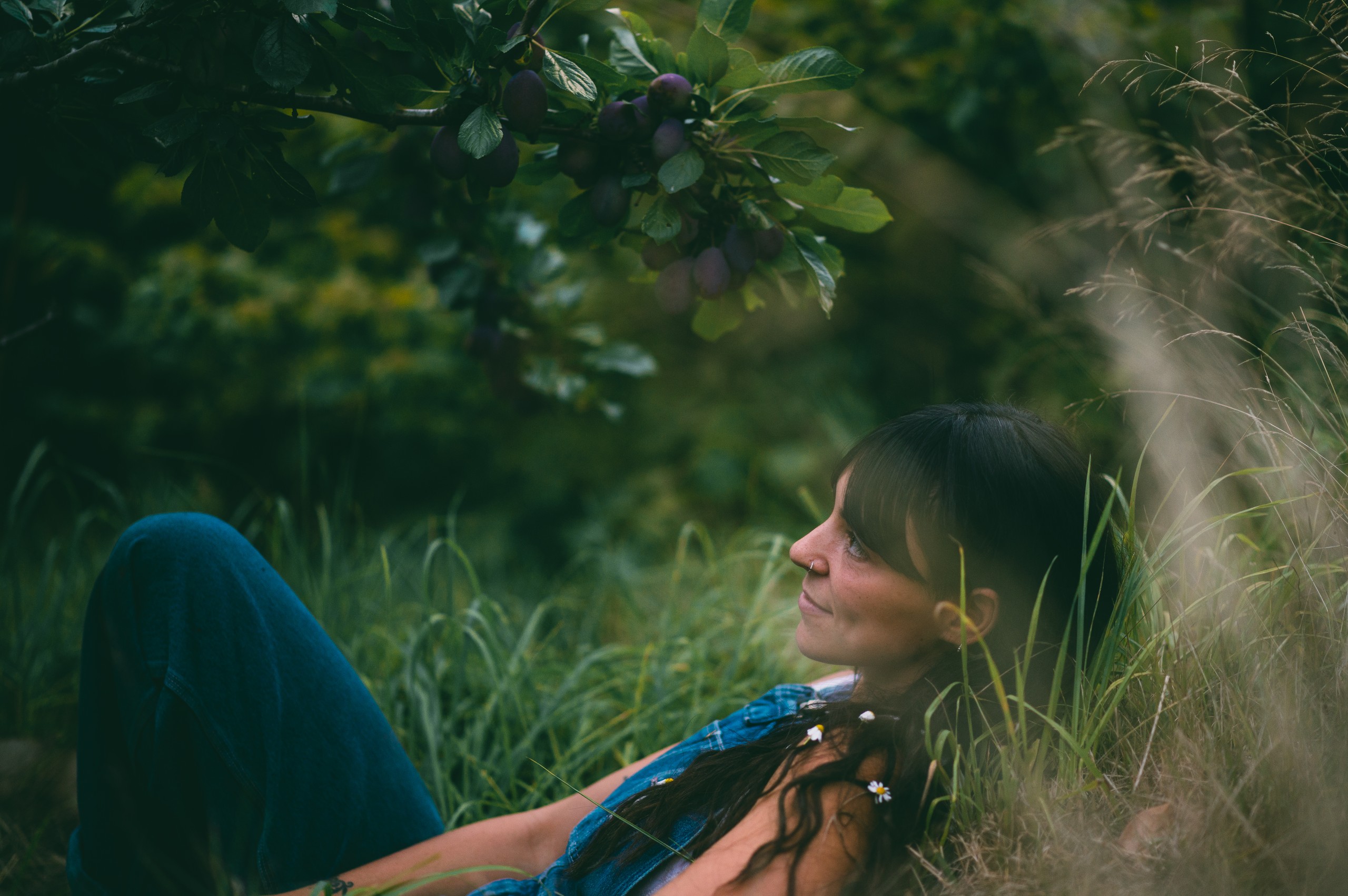 Resting beneath the plum tree