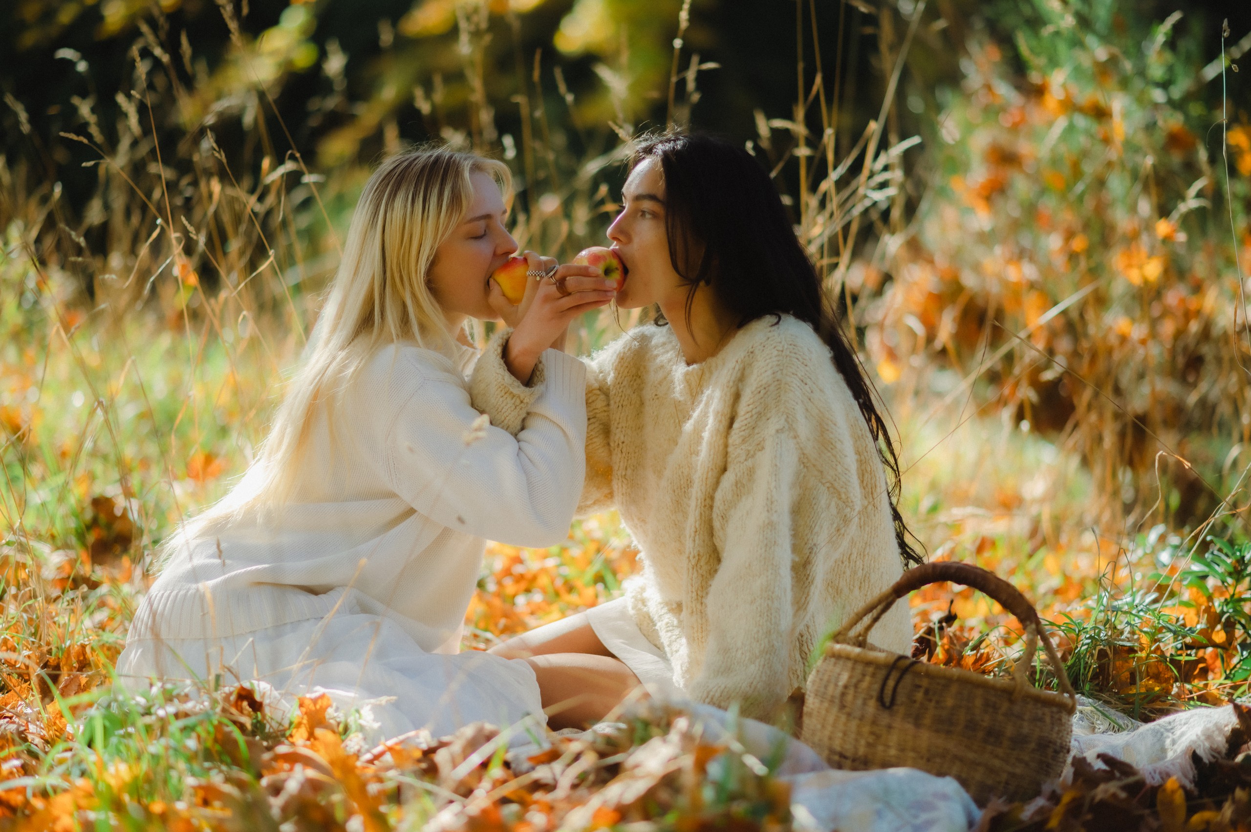 Golden orchard picnic
